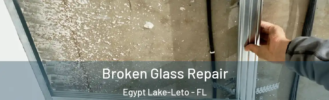 Broken Glass Repair Egypt Lake-Leto - FL