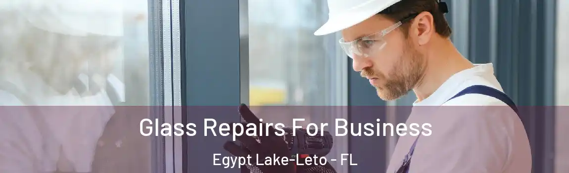 Glass Repairs For Business Egypt Lake-Leto - FL