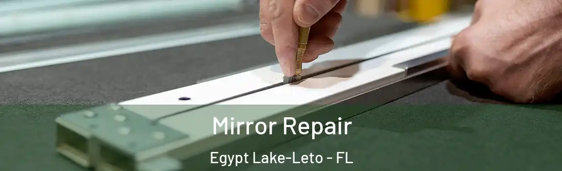 Mirror Repair Egypt Lake-Leto - FL