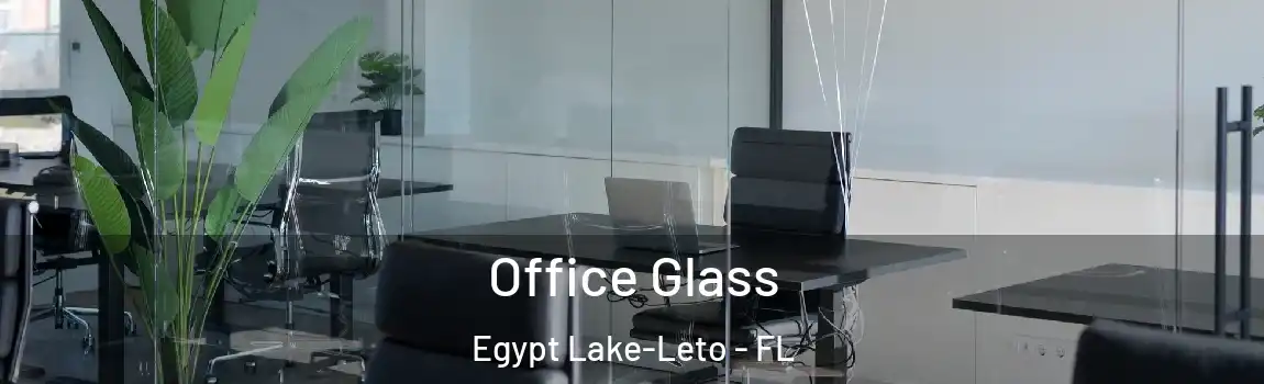 Office Glass Egypt Lake-Leto - FL