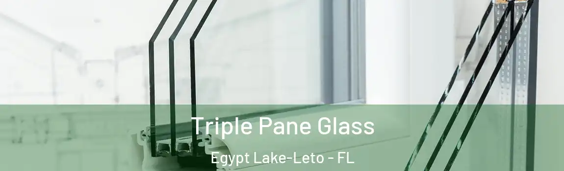 Triple Pane Glass Egypt Lake-Leto - FL